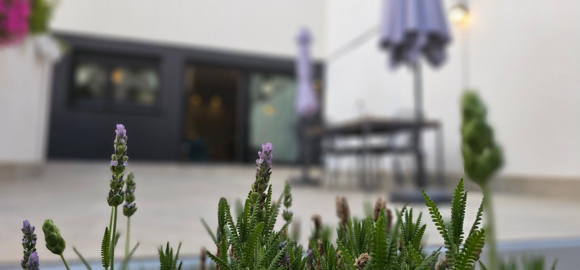 Apartmán Albayda Garden Granada Exteriér fotografie