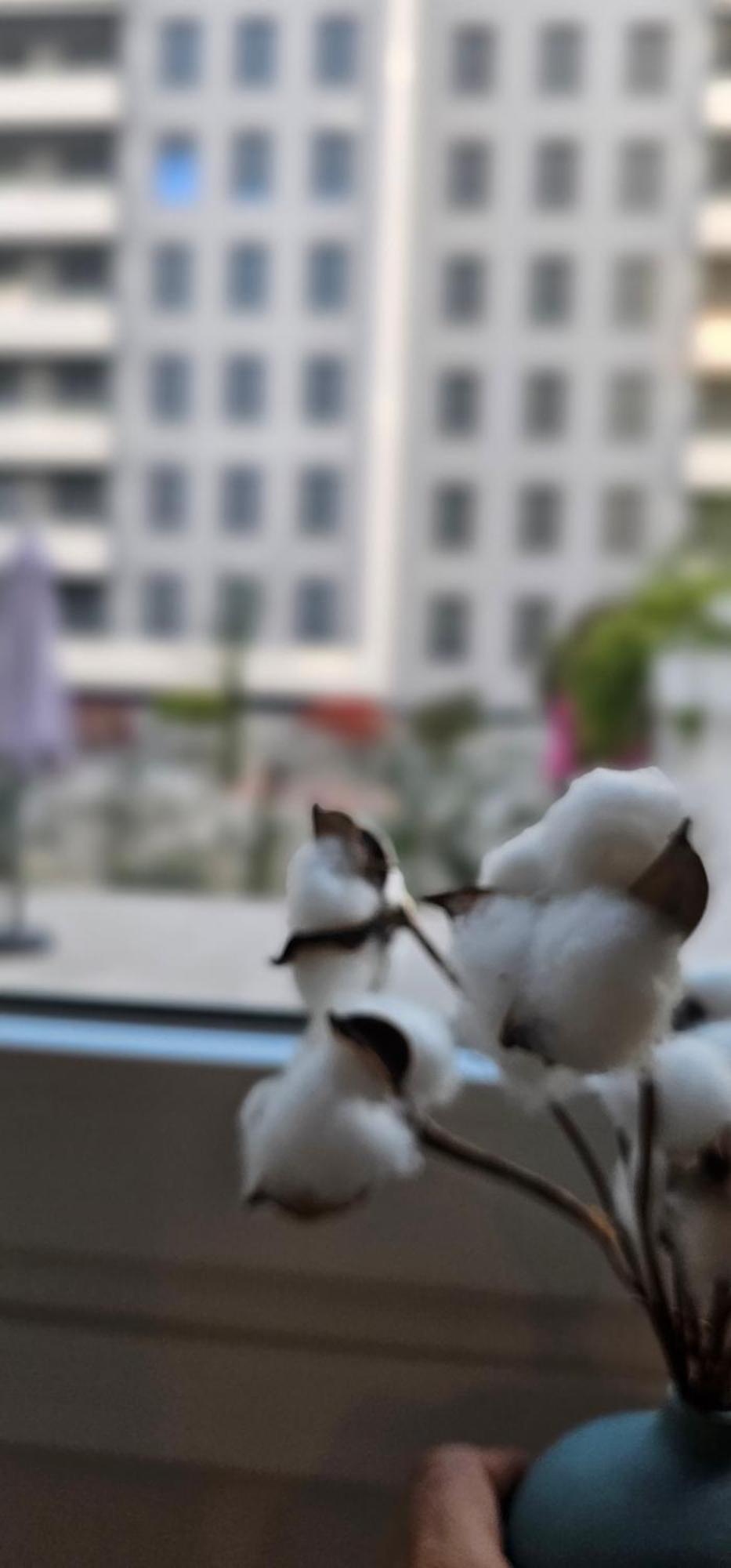Apartmán Albayda Garden Granada Exteriér fotografie
